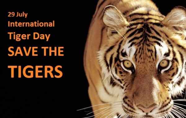 International_Tiger_Day_Quotes1